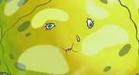 Fat Spongebob 