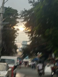 MILES F AND TREVOR S