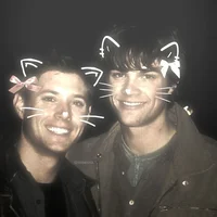 The Winchesters 