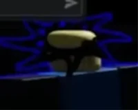 Sean