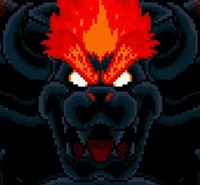 Fury Bowser