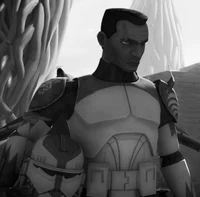 COMMANDER WOLFFE 