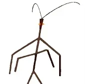 Stick Bug