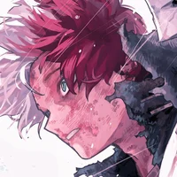 Shoto Todoroki
