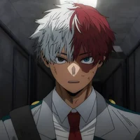 Shoto Todoroki
