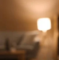 Arguing with Brother