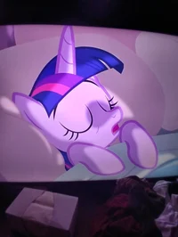 Princess twilight 