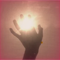 WILL SOLACE