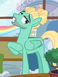 MLP 