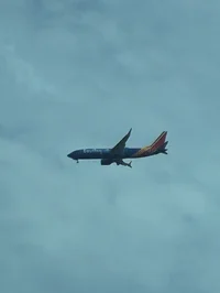 Southwest 737 max 8