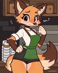 Fox Barista