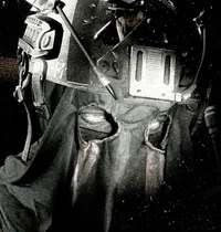 Konig
