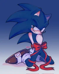 SONIC T HEDGEHOG 