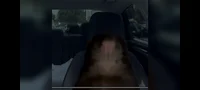 R4TT3RZ