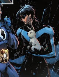 Nightwing