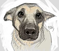 Пёсик