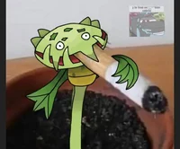 Orión Drell Bouchard