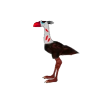 AU-Zombie TerrorBird