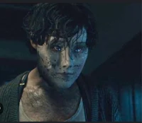 TB- Brahms Heelshire