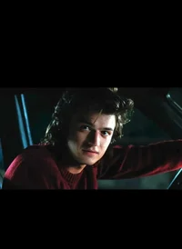 Steve Harrington 