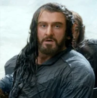 Thorin Oakenshield 