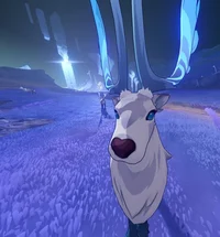 Genshin Impact x Irl