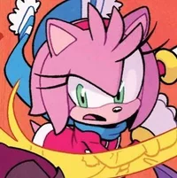 077 - Vs Amy Rose
