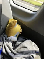 Plan that Tails made