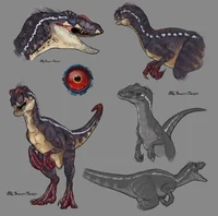 Six Velociraptor