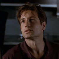 XF - Fox Mulder