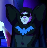 Young Justice 8