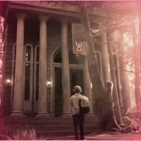 PJO Camp Half-Blood