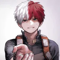 Shoto Todorki