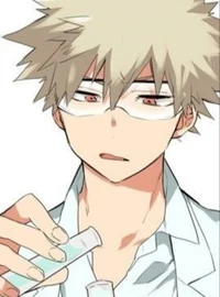 PreMed Bakugou