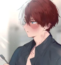 Shoto Todoroki 