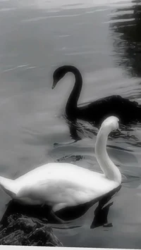 02 3