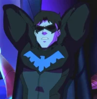 Nightwing - YJ