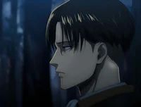 Levi Ackerman 