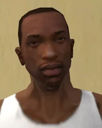 Carl CJ Johnson