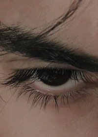 05-CARDAN GREENBRIAR