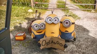 Los minions 