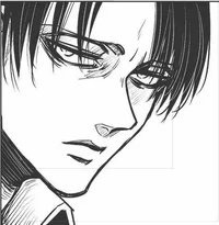 SNK Levi Ackerman