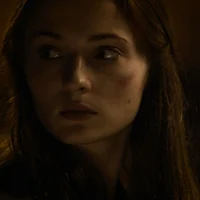Sansa S