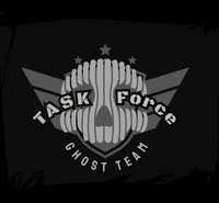 Task Force