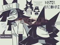 Mister broomire