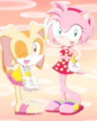 Amy Rose and Cream 