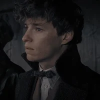 Newton Scamander 