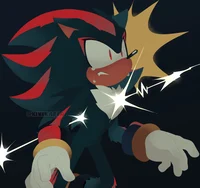 Shadow Husband