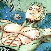 Zoro Roronoa 