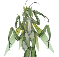 Mantis